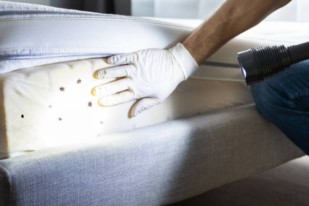 Best Pest Inspection Near Me  in Fowler, IN