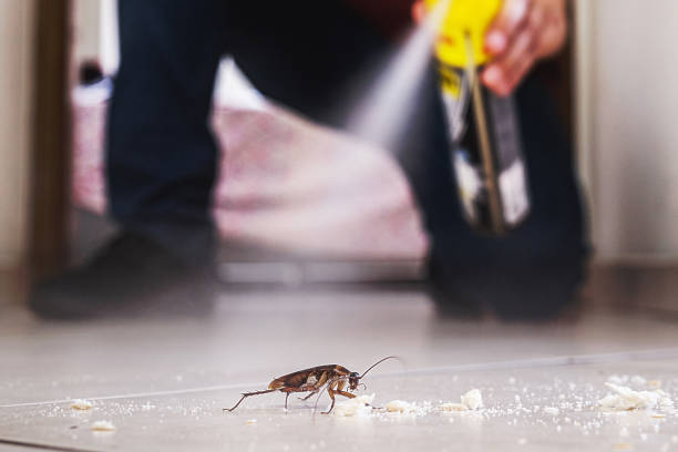Best Pest Prevention Services  in Fowler, IN