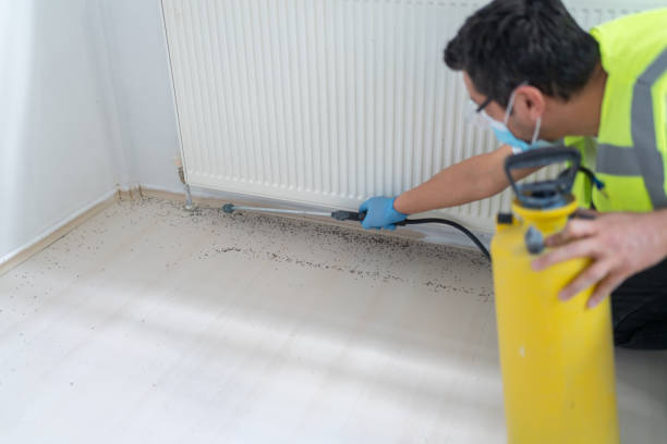 Best Mosquito Control Services  in Fowler, IN